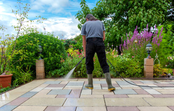 Best Fence Cleaning  in Carnesville, GA